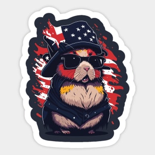 4th of july Sticker